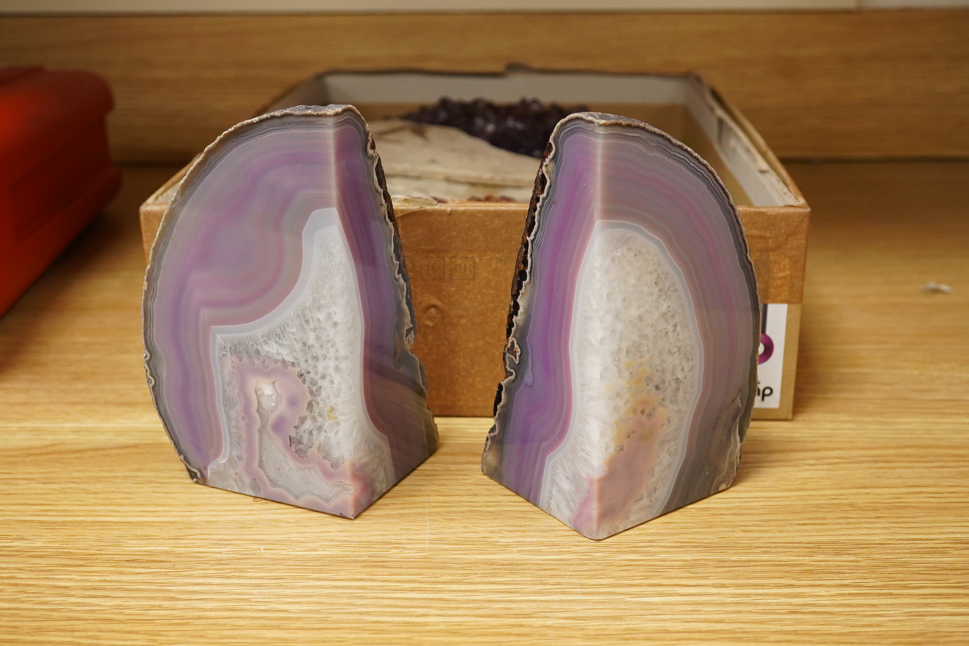 A collection of mineral specimens including quartz, together with fossilised leaves and ammonites on matrix